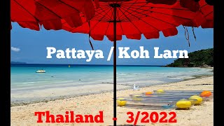 Thailand Today - Pattaya Hotel&#39;s Review, trips Koh Larn, Nong Nooch Tropical Garden, Ko Samet...