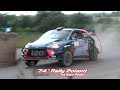 WRC Rally Poland 2017 fast&furious,flat out,mud&show