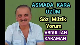 ASMADA KARA ÜZÜM - ABDULLAH KARAMAN