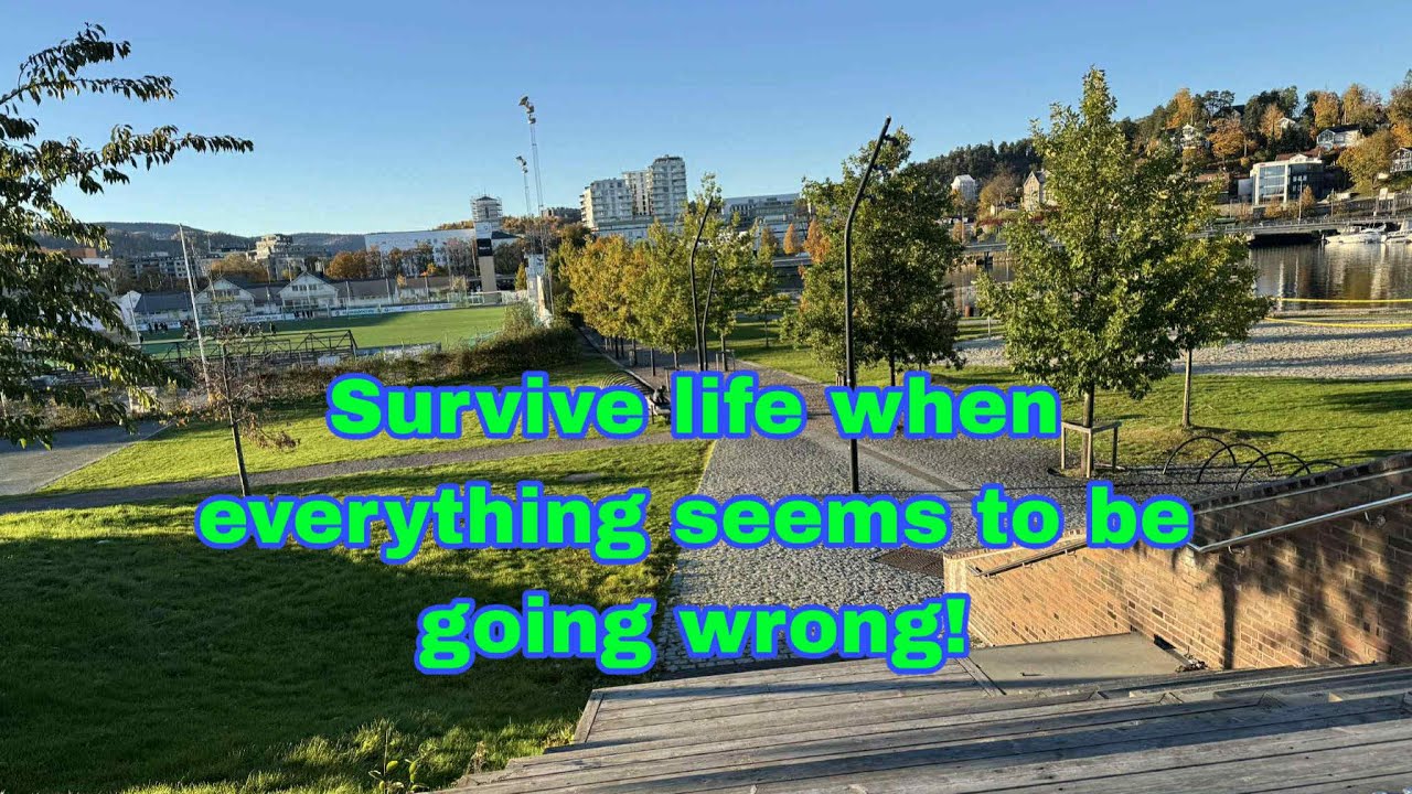 Как выжить, когда кажется, что все идет наперекосяк?