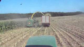 Chopping corn 8 28 10