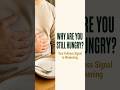 Why Your Hunger Never Turns Off — And The Signal Nobody Talks About