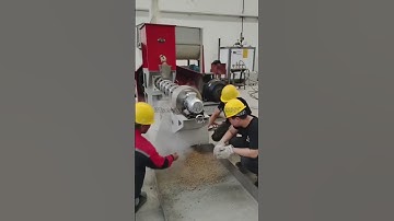 Testing 500-800 kg per hour floating fish feed pellet machine #fishfarming #fishfeedmakingmachine