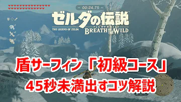 盾サーフィン コツ 盾サーフィン コツ