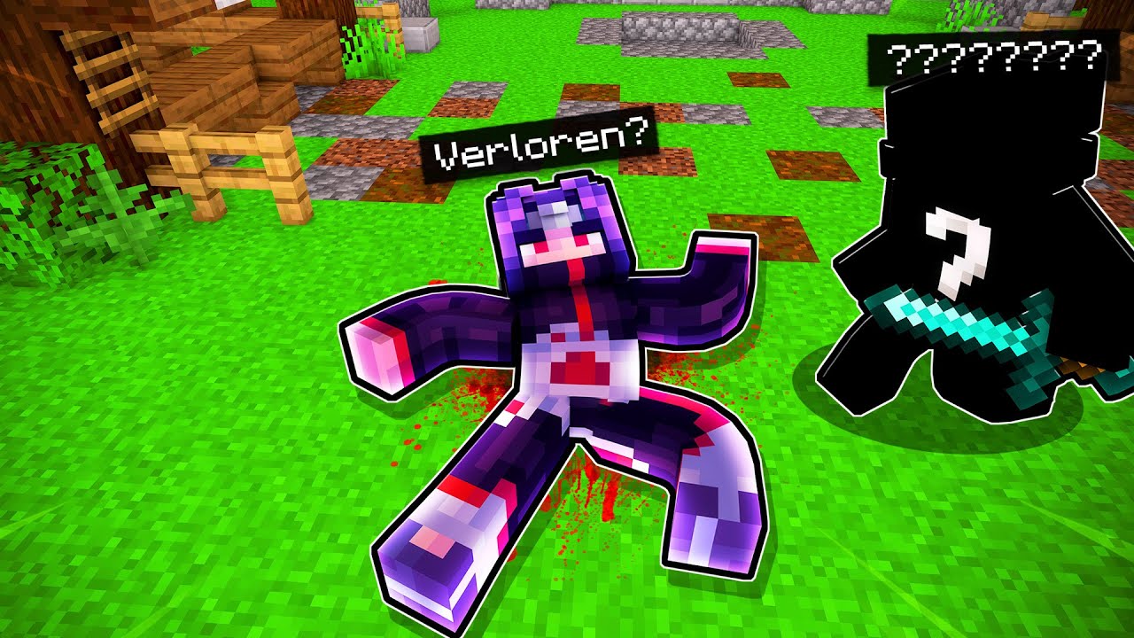 DER GRUND WARUM ICH MINECRAFT RISIKO VERLOREN HABE...