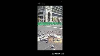 Haramain Moments  is live! screenshot 2