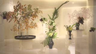 ivory_M8M FLOWER.mov