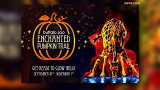 Buffalo Zoo is about to “GLOW” wild after dark this fall