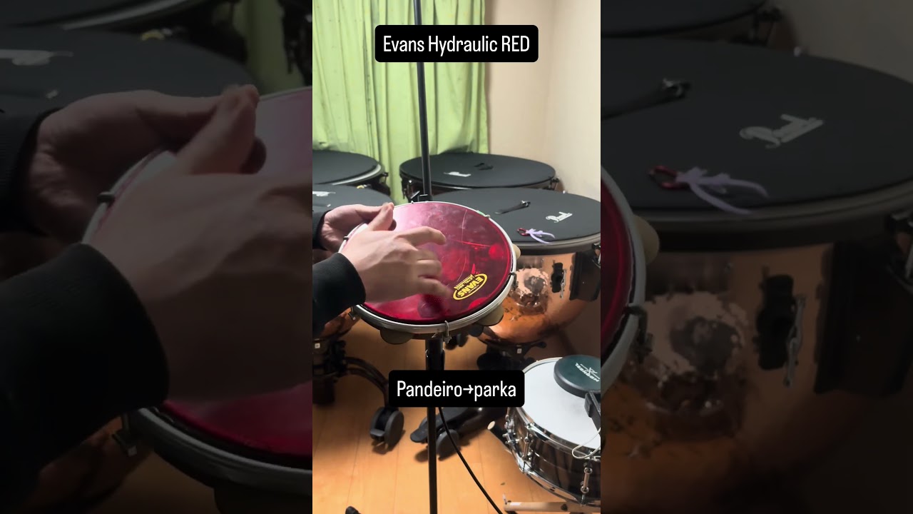 Pandeiro パンデイロ Evans Hydraulic RED #percussion - YouTube