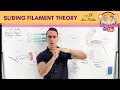 Sliding Filament Theory | Muscle Contraction