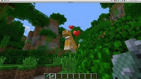 How to Tame Ocelots in Minecraft : Minecraft Tutorials