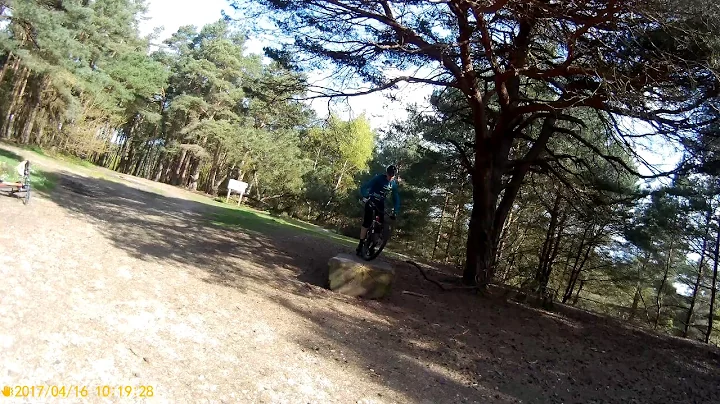 learning mtb beginners skills step up to log