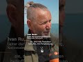 Wie der Ukraine-Krieg Delfine tötet | #short #shorts #shortvideo