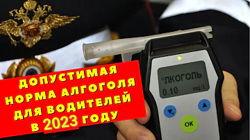 Допустимая норма алкоголя в 2022 году. Сколько промилле разрешено?