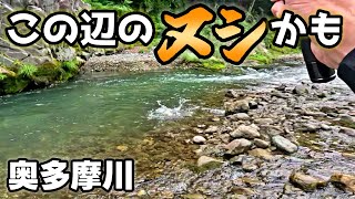 Download Lagu 根掛かりかと思ったら奥多摩川ですごいのが…前代未聞の出来事! MP3 Download Lagu 根掛かりかと思ったら奥多摩川ですごいのが…前代未聞の出来事! MP3