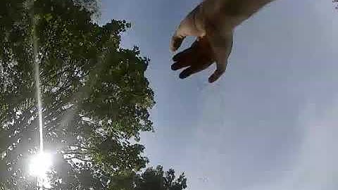 Bug in DJI fpv firmware?