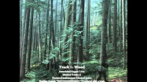 Wood (Long Version) By Yuval Ron presented by Mett...