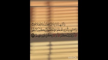 سوره البقره عدد اياتها ٢٨٦ آيه (سوره مدنيه ) الجزء الرابع من الآيه ٢٨٢