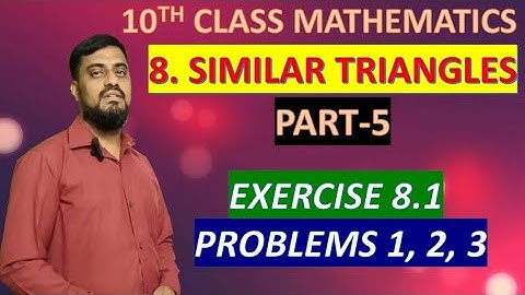 Class 10 Maths | Similar Triangles | Exercise 8.1 | Problems 1, 2, 3