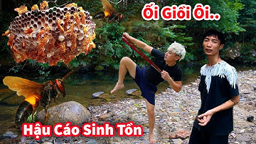Hậu Cáo - Săn Tổ Ong Vàng Bằng Ná Cao Su Cực Hài || Hậu Cáo Sinh Tồn