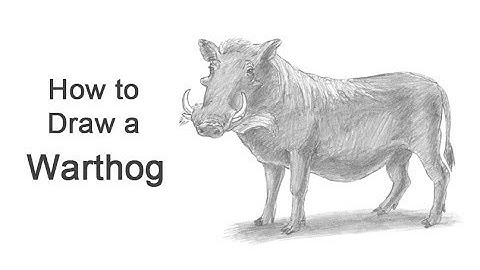 How to Draw a Warthog