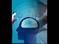 🤯साइकोलॉजी के अनुसार हमारे दिमाग से जुड़े कुछ अहम बाते🤯 #youralltopics #psychologicalfacts #shorts