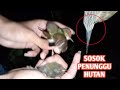 MENANGKAP SOSOK BURUNG PENUNGGU GUNUNG !!!