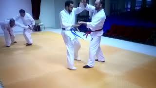 DRAGON AIKIDO DOJO Resimi