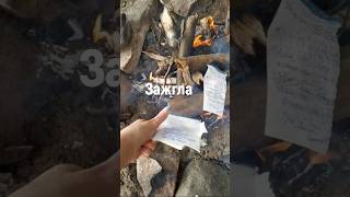 Жить, а не планировать! #психология #планирование #выгорание #здесьисейчас #депрессия #финскийзалив