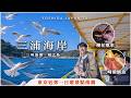 【2026東京近郊】「三浦半島」鮪魚&times;河津櫻🌸一日遊全攻略!三浦三崎鮪魚套票、三浦海岸河津櫻祭、城之島|東京近郊・日本美食・東京自由行・吉田社長 Japan TV
