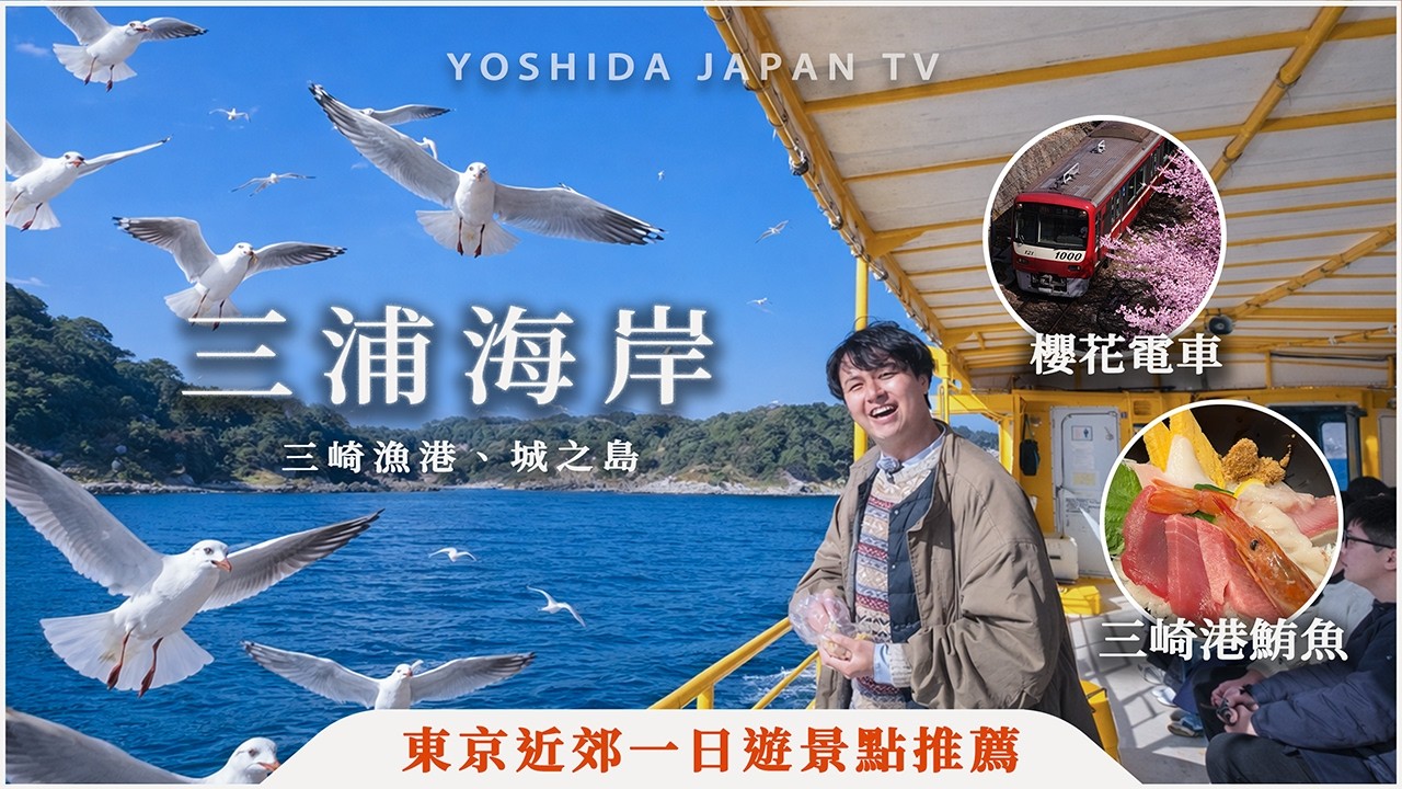 Поездка на Miura Beach из Токио дешевле $30? тунец Мисаки и сакура