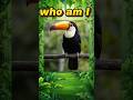 Guess the Bird in 5 Seconds!⏰😱😱Guess the Birds! 🐦Fun Quiz for Kids |#quiz#games #learningfast#birds