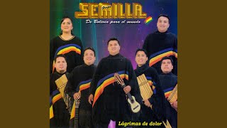 Video thumbnail of "Semilla - Lágrimas de Dolor"