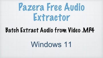Pazera Free Audio Extractor - Batch Extract Audio from Video .MP4 on Win 11