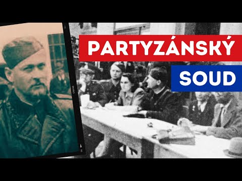 Video: Co je to partyzánský systém?