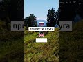 Учим английский каждый день. Викторины и упражнения на английском