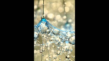 تلاوة طيبة لآيات من سورة الفجر | الشيخ عبدالعزيز الزهراني