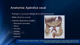Apendicitis aguda - Módulo 2: Anatomía, fisiología y fisiopatología
