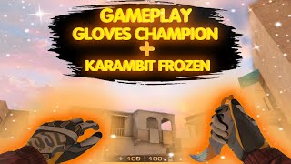 🕊️Gloves «Champion» + karambit «Frozen» | so2 set🕊️