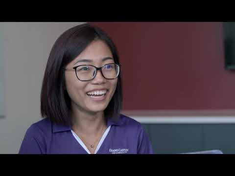 The Story of the Honors College