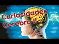 curiosidades cerebro parte 2