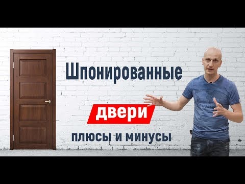 Шпонированные двери что это такое