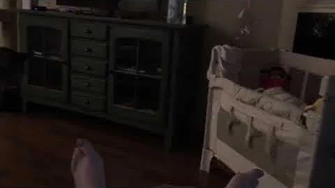 Harriet the cat sees zemi