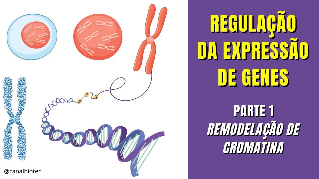 REMODELAÇÃO de CROMATINA para Regulação da Expressão Gênica - parte1