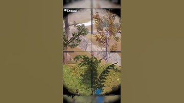 Three Shots with Bolty #rust #shorts #trausi