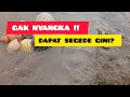 GAK NYANGKA !!🤯 dapet rumah siput laut sebesar ini 🤩