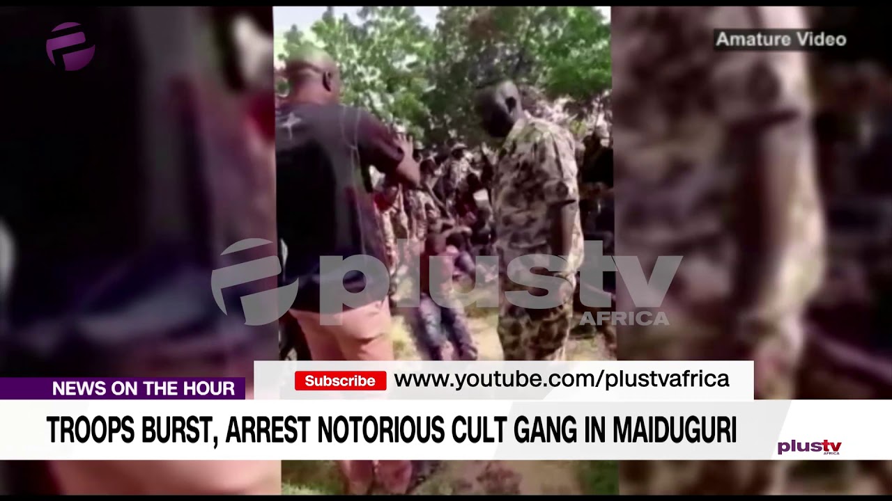 newspaper mockup Troops Arrest Notorious Cult Gang In Maiduguri