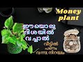 money plant വയ്ക്കുന്ന ദിശ ശെരിയല്ലെങ്കിൽ എന്ത് സംഭവിക്കും |ഇങ്ങനെ ചെയ്‌താൽ വീട്ടിൽ സാമ്പത്തിക