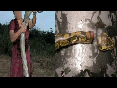 चंद मिनटों में इस अजगर को निगल गई ये महिला | SHOCKING: Wonder Woman Swallows Python