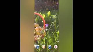 Обзор на А4 Прятки Прячься или ищи. screenshot 1